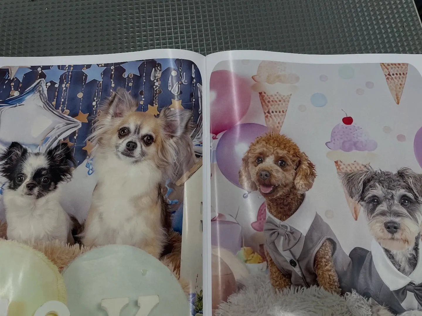 お知らせ🍀本日届きました📒