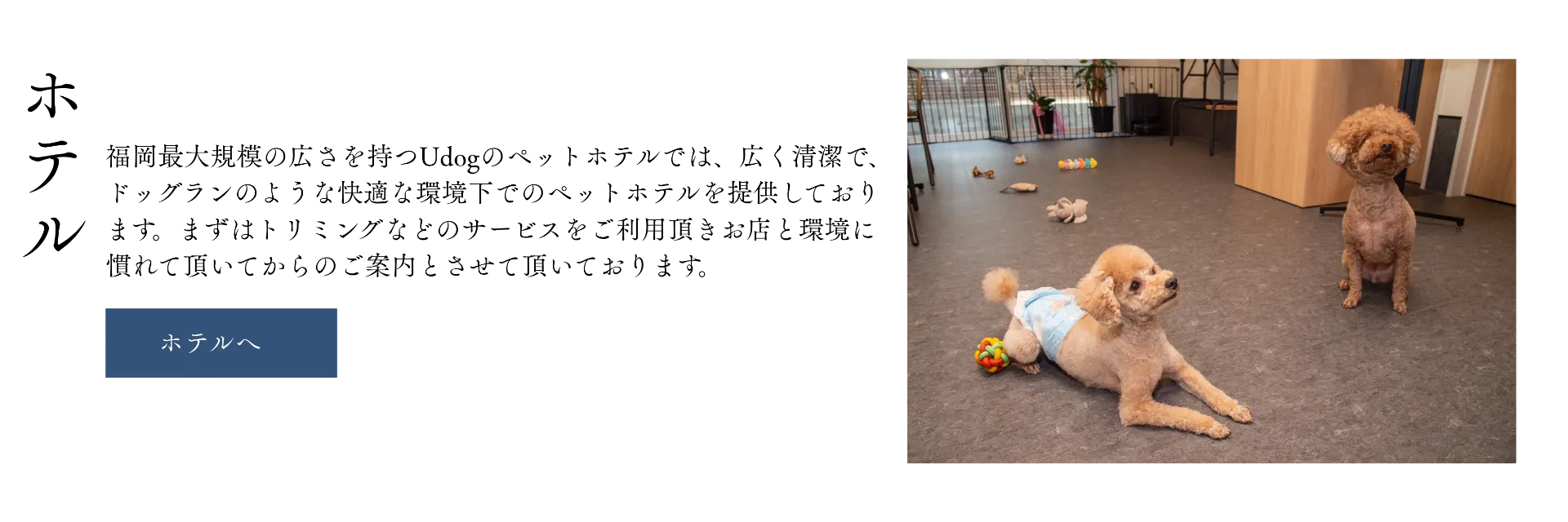 パソコン用の画像