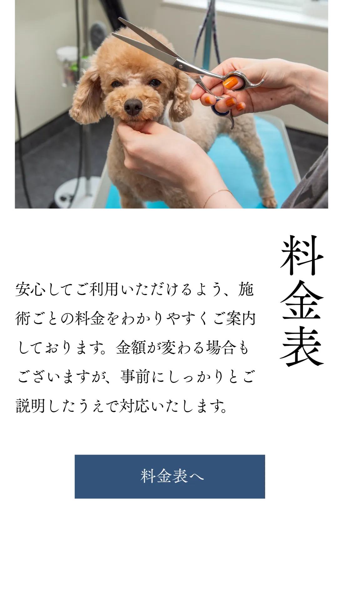 スマートフォン用の画像