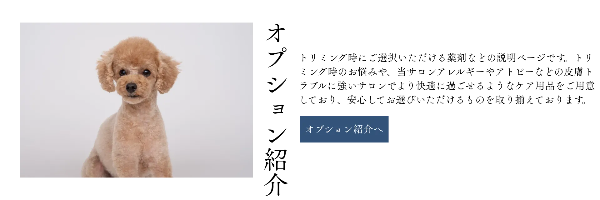 パソコン用の画像