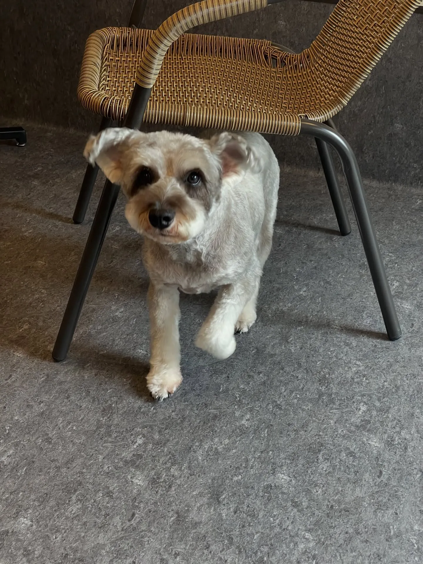 こんにちは！✨福岡市東区で愛犬との特別な時間を過ごしませんか...