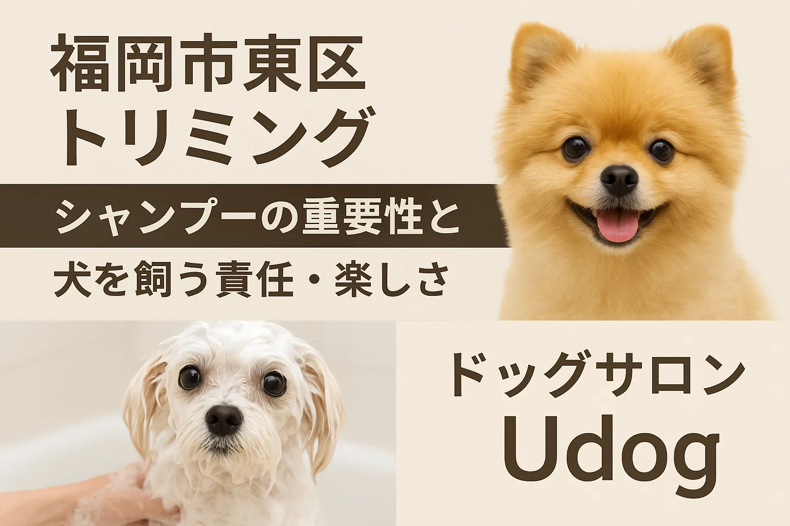 【ブログ記事｜福岡市トリミング】シャンプーの重要性と、わんちゃんと暮らす責任・楽しさについて｜ドッグサロン Udog監修