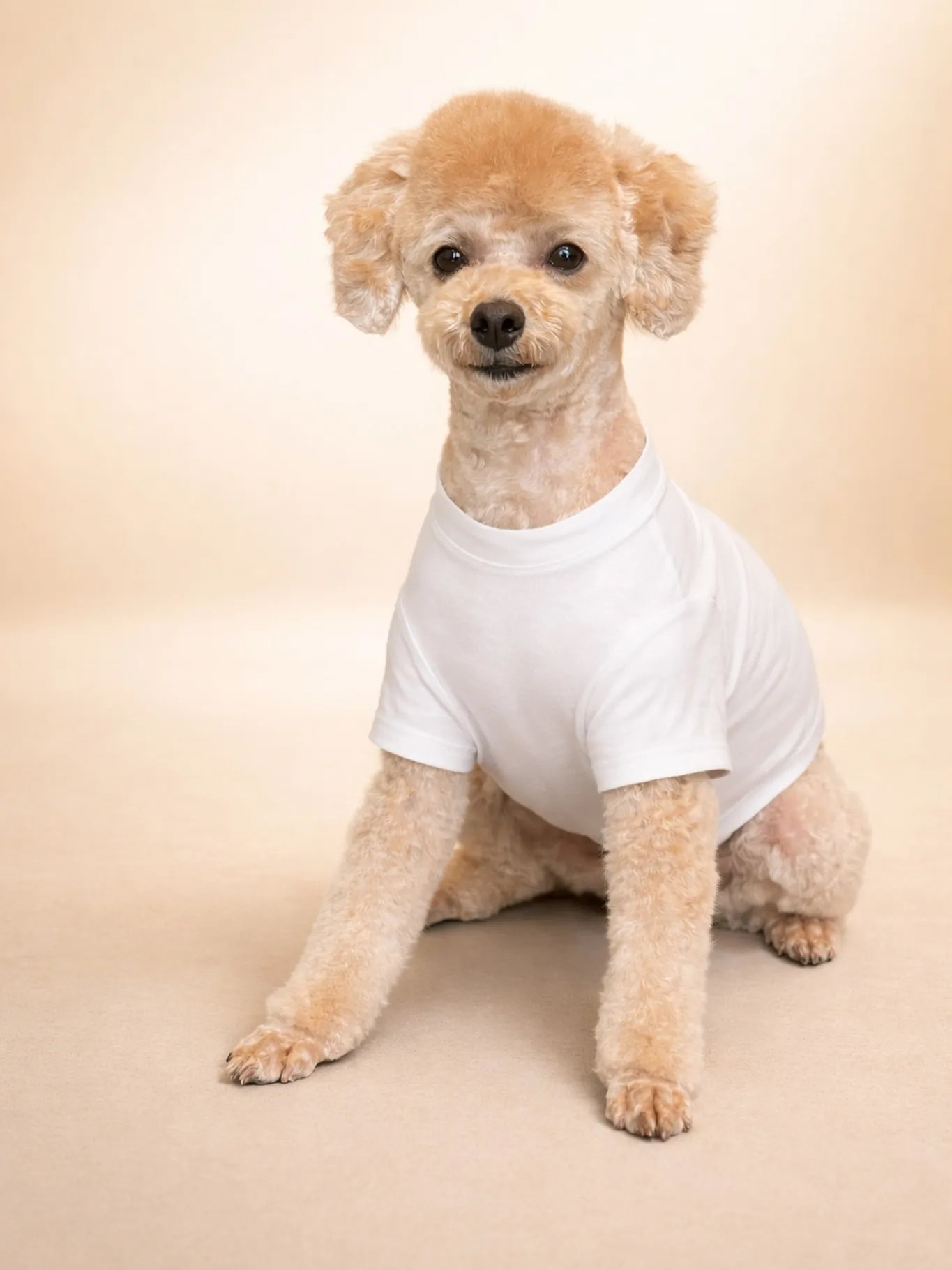 福岡市東区のわんちゃんたちに大人気❣️小型犬に特化のトリミン...