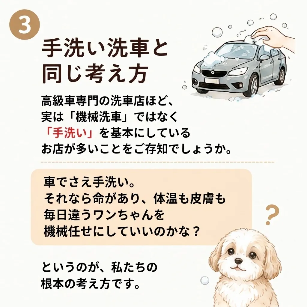 🐾 Udogが「手洗い」にこだわる理由 🐾 トリミングサロン...
