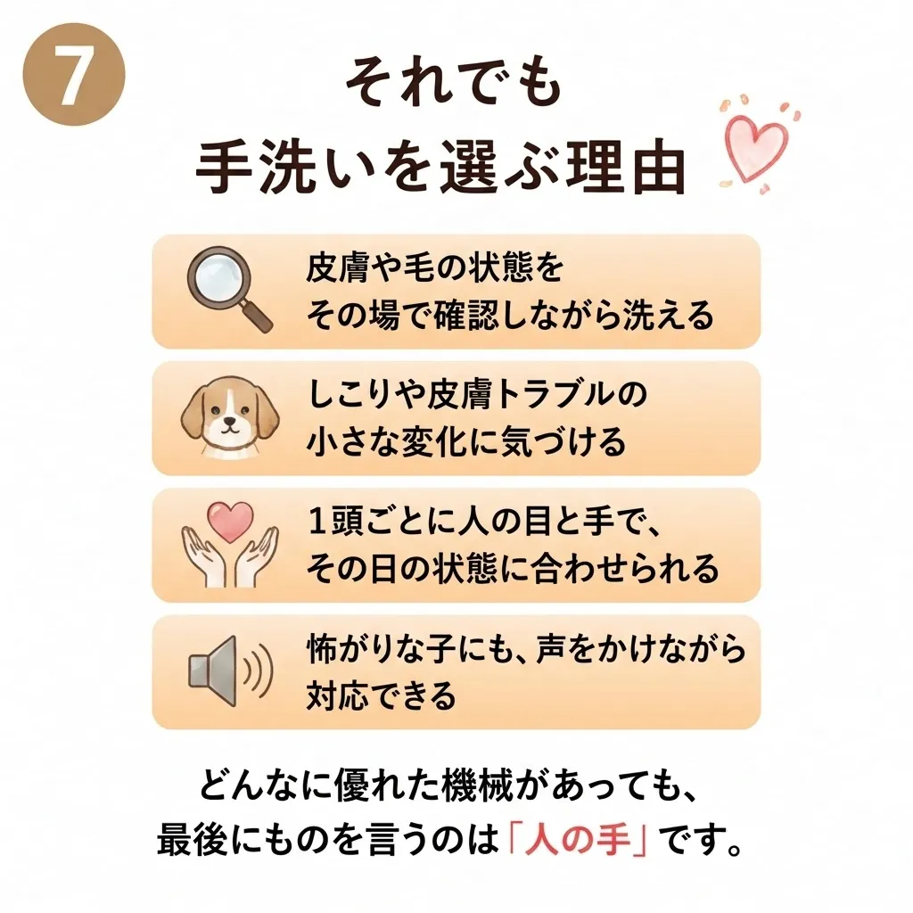 🐾 Udogが「手洗い」にこだわる理由 🐾 トリミングサロン...