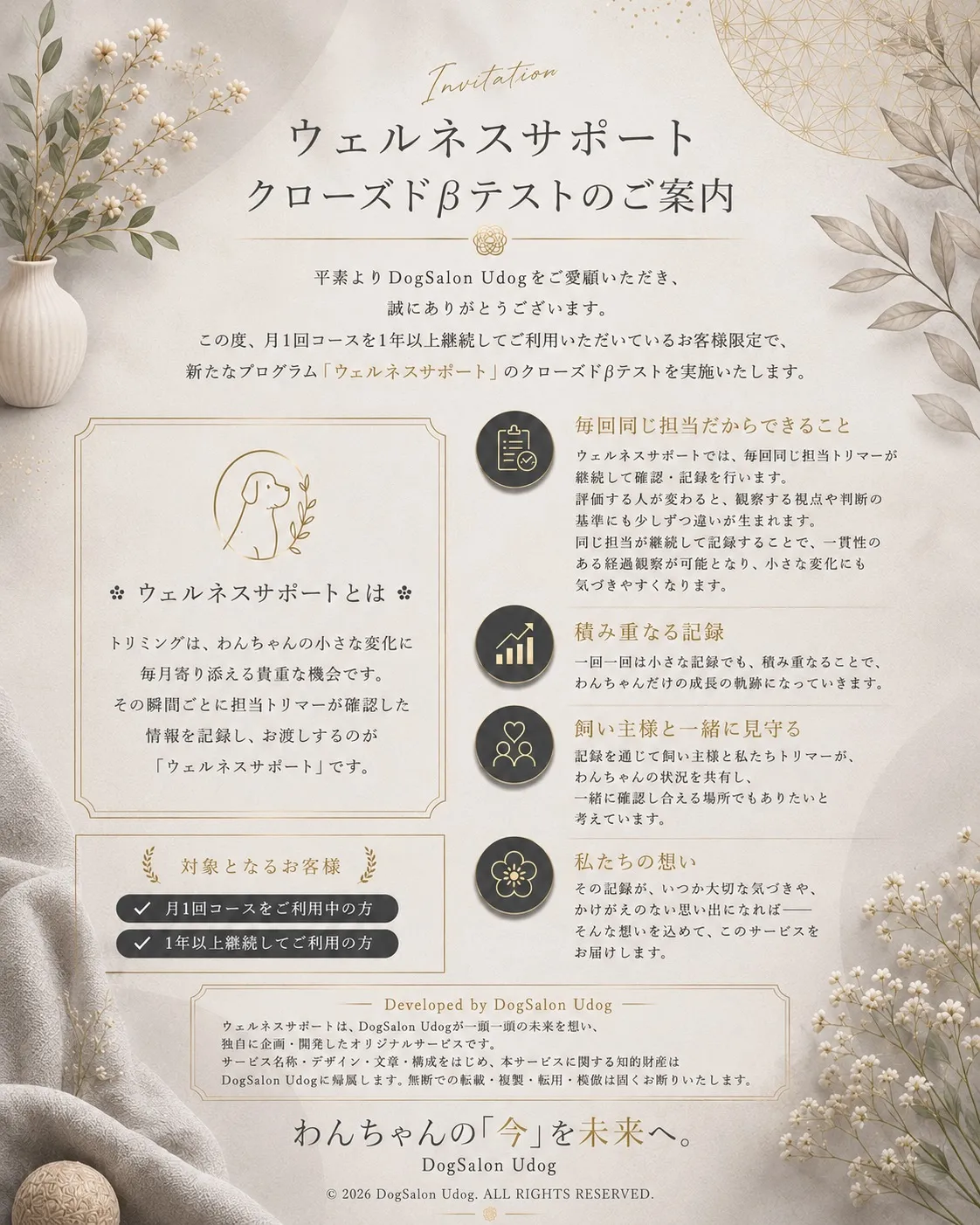 【🐶新サービスのお知らせ】