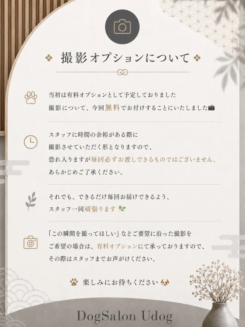 撮影オプション、無料でご提供🎉