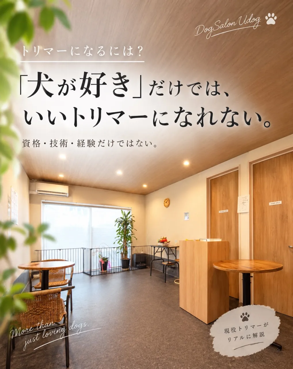 福岡市東区のドッグサロンUdogオーナートリマー目線で、『愛...