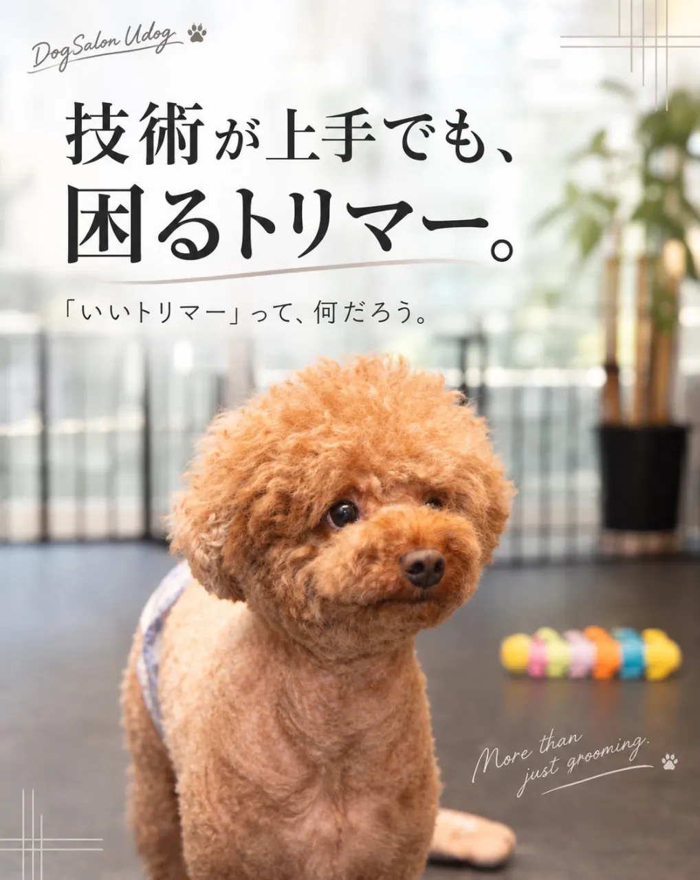 福岡市東区のドッグサロンUdogオーナートリマー目線で、『愛...