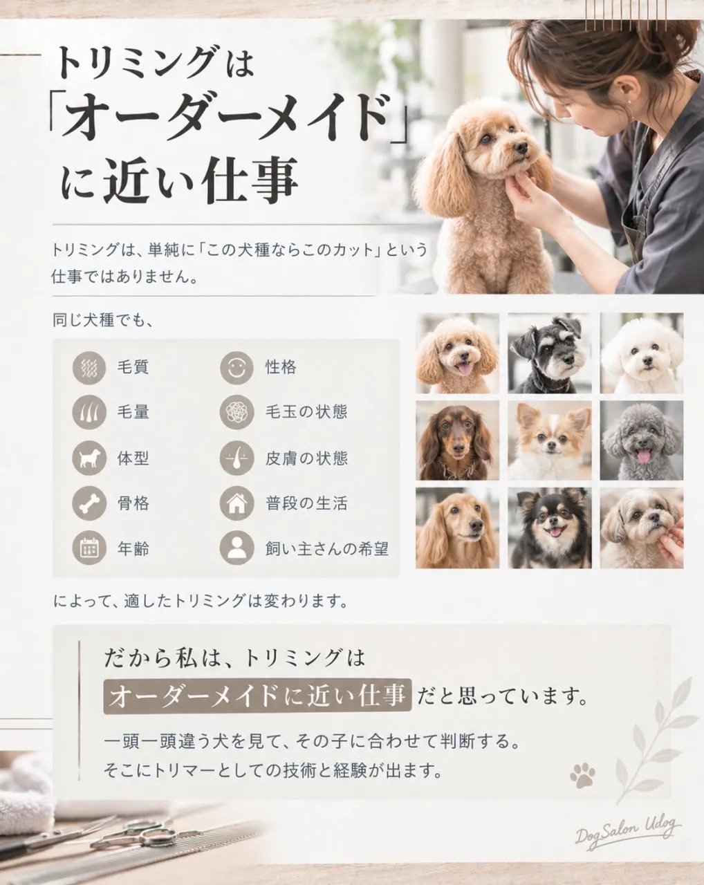 福岡市東区のドッグサロンUdogオーナートリマー目線で、『愛...