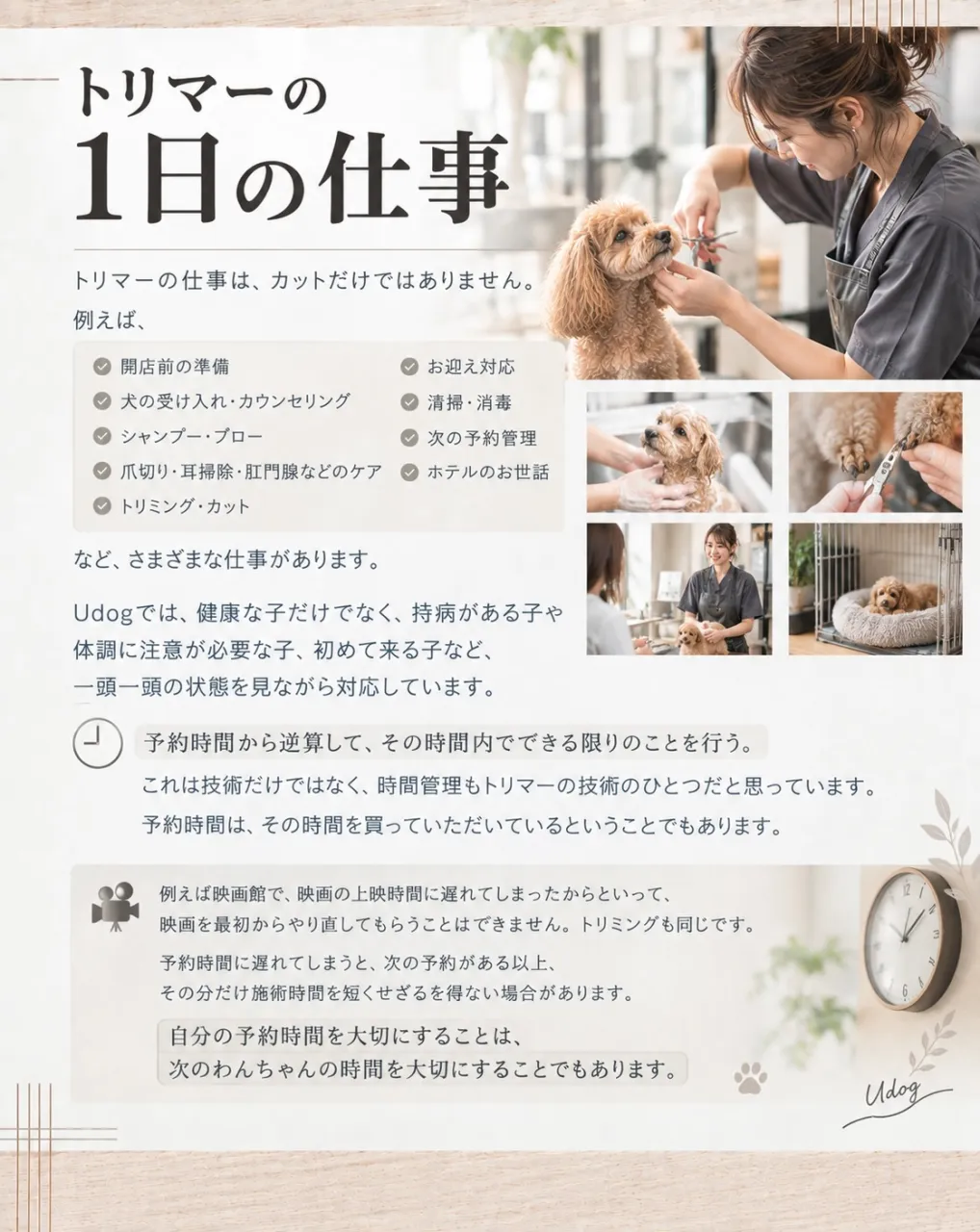 福岡市東区のドッグサロンUdogオーナートリマー目線で、『愛...