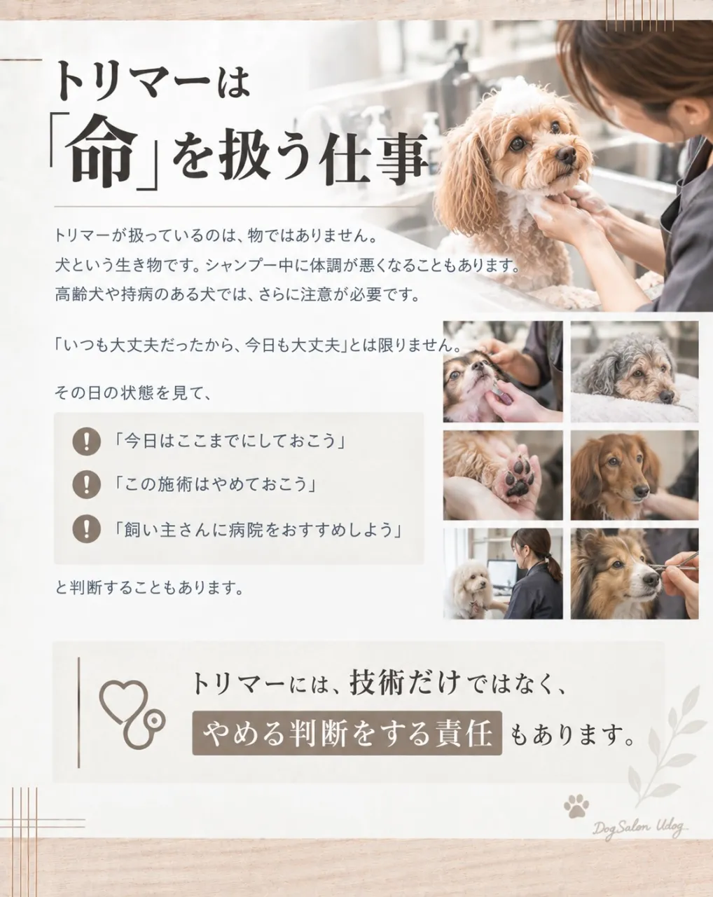 福岡市東区のドッグサロンUdogオーナートリマー目線で、『愛...