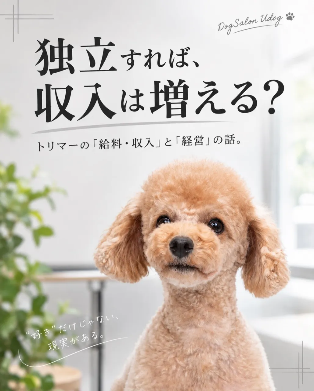 次回最終章は飼主さんにも是非、読んで頂きたい内容です。