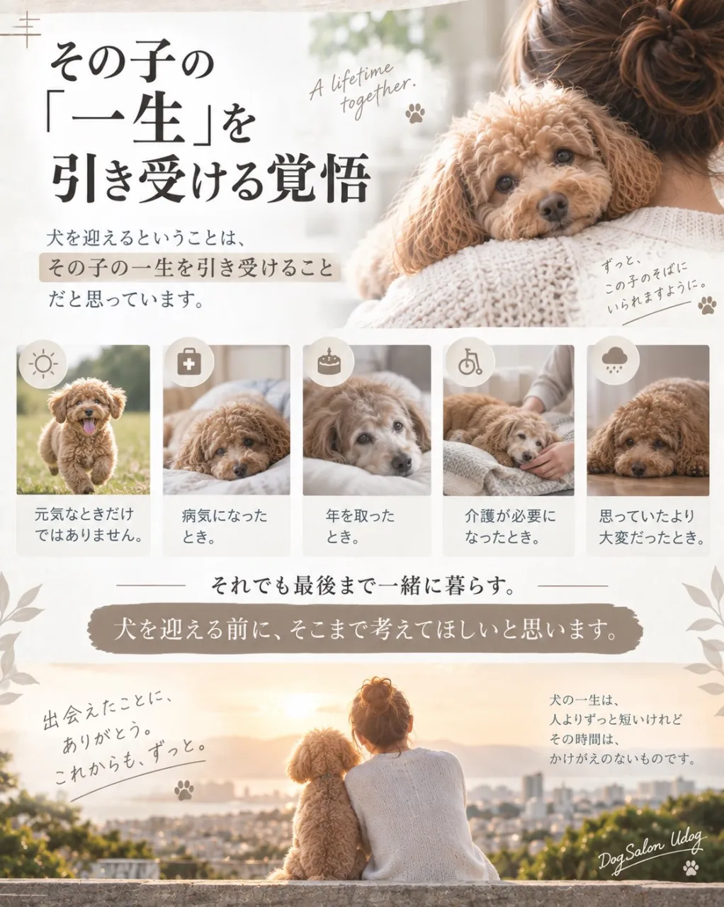 今回は全5回に及ぶお話しの最終章。