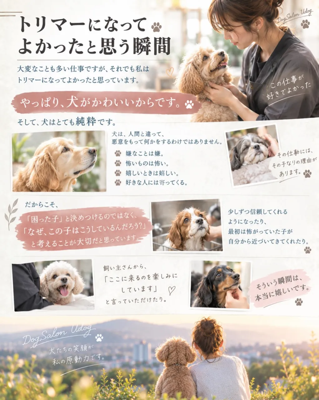 今回は全5回に及ぶお話しの最終章。
