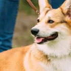 当サロンの特徴